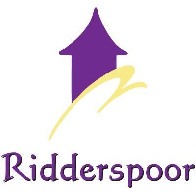 فيلا هولومفي Ridderspoor المظهر الخارجي الصورة